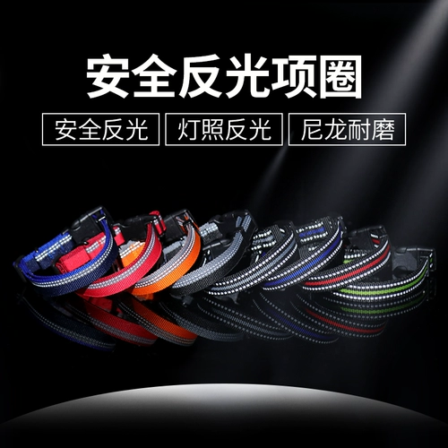 ~ Позвольте собаке воротнич