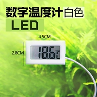 Белый светодиод