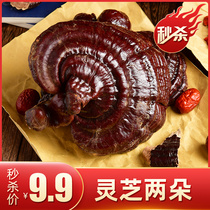 Semi-wild Ganoderma lucidum whole branches 2 pieces of Changbai Mountain premium red purple Ganoderma lucidum slices planted Nyingchi bubble wine