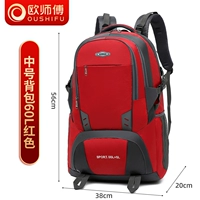 [Red 60l] Подкрепление издания [Бесплатная страховка прохождения, защита на один год]