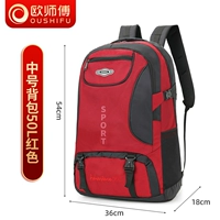 [Red 50l] Подкрепление издания [Страхование бесплатного прохождения, защита на один год]
