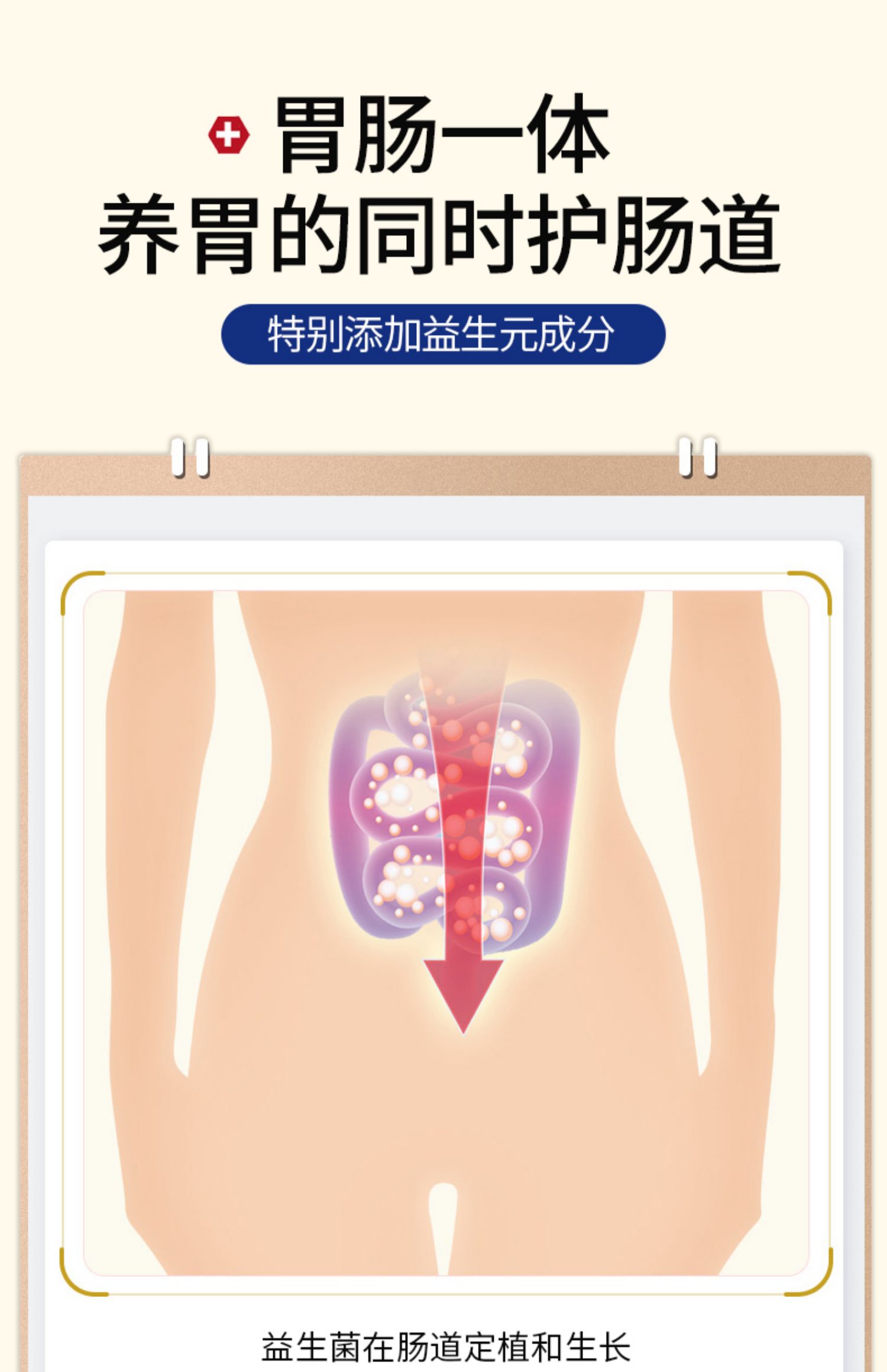 英国proven养胃粉益生菌