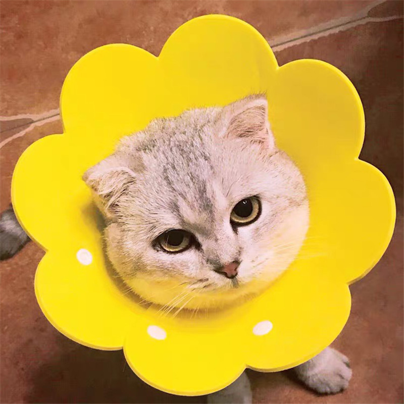 Pet Elizabeth Shame Ring Kitty Anti-Bite Dog Anti-Licking Collar Item Ring Cat Head Cover Humiliating neck Sterilization cover