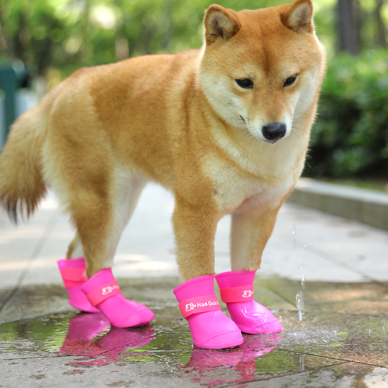 Dog rain boots waterproof and anti-dirty shoes foot sleeves Puppy shoes Dog Shoes dog Shoe Anti-fall Medium Waterproof Shoes Anti Slip