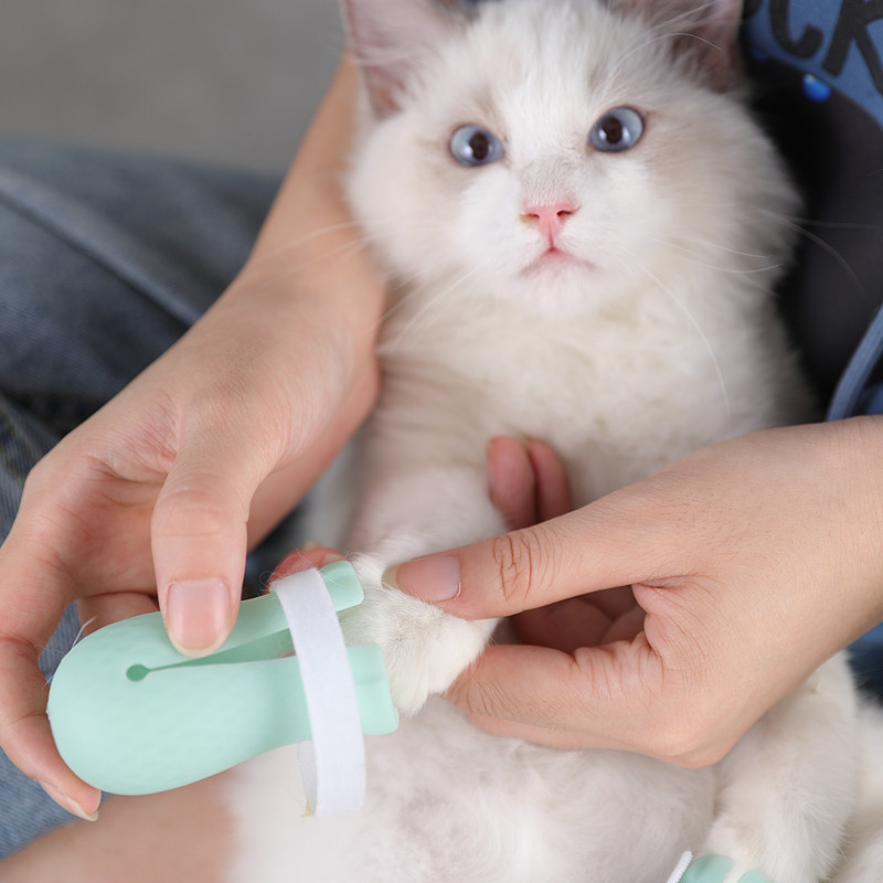 Kitty nail sleeve cat foot cover cat claw sleeve anti-scratching cat grip protective sleeve dog bathing foot cover anti-cat scratching device