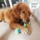 String Ball Toy [Applyble All Dogs]