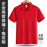 Big Red [100 Cotton's Men's Big Women Standards]