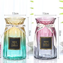 European creative glass vase transparent hydroponic green Hyacinth household flower arrangement living room decoration glass bottle