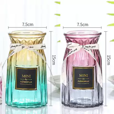 European creative glass vase transparent hydroponic gold Ge Hyacinth household flower arrangement living room decoration glass bottle
