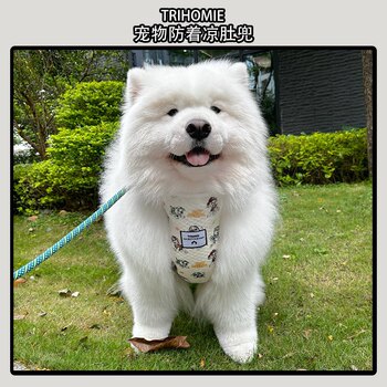 Trihomie dog silk cotton to prevent colds