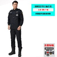 Сетка Xia Chang (вверху+брюки+стандарт)