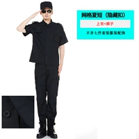 Сетка Лето короткая/Скрытый темный Дэнтитрат (верхние+брюки)