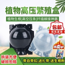 Fruit tree transplanting culture instrumental plant high-pressure propagation box grafting box garden trees rooting box high-pressure bag rain-proof
