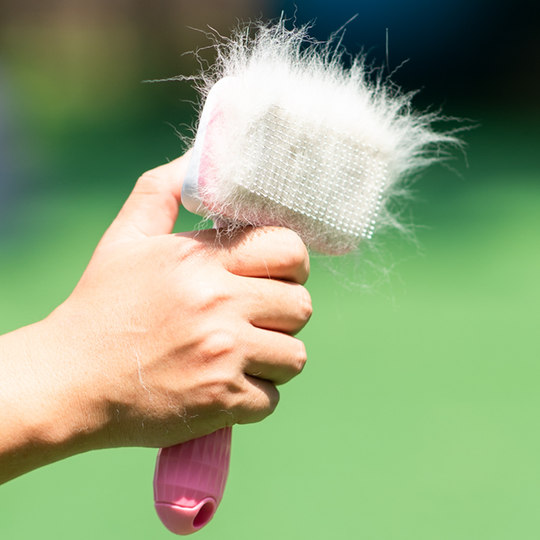 Dog hair comb, pet comb, hair removal needle comb, Teddy Bichon Golden Retriever Husky, large dog knotting comb
