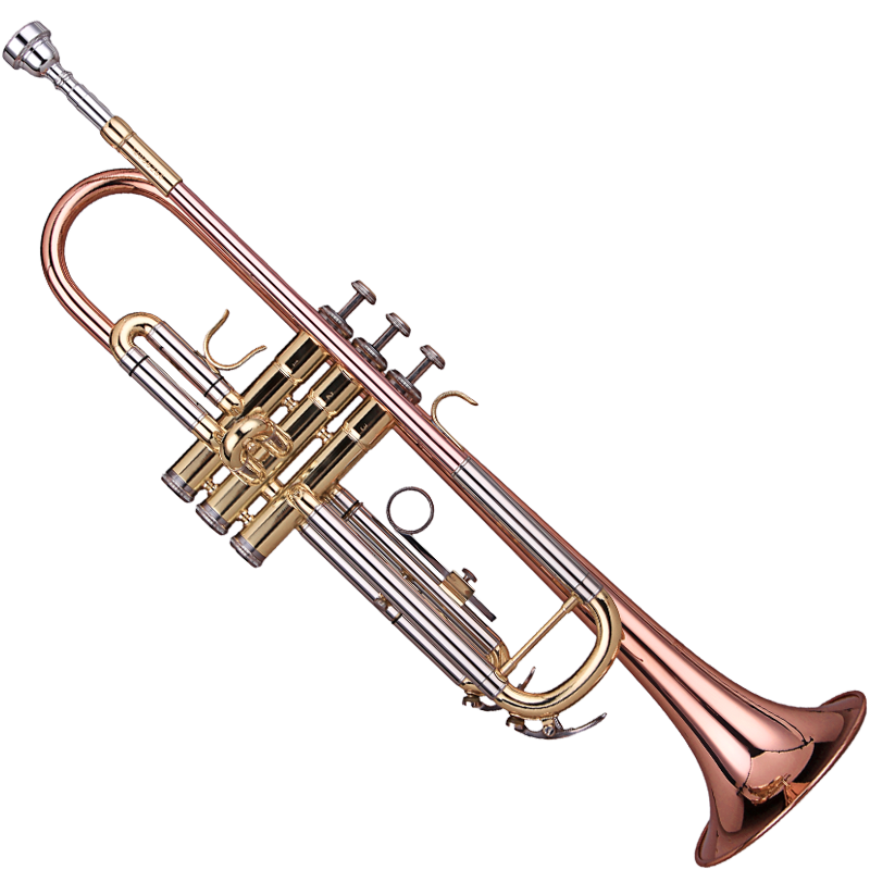 WISEMANN Wisemann DTR400 brass instrument drop B tuning small number of beginner level playing pipe band-Taobao