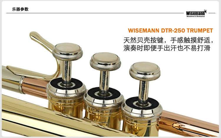 WISEMANN Weisman DTR250 nhạc cụ bằng đồng B kèn phẳng bắt đầu thử nghiệm ban nhạc biểu diễn - Nhạc cụ phương Tây đàn mini