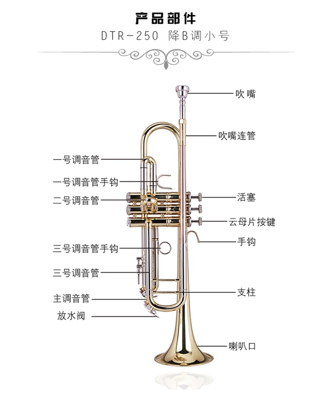 WISEMANN Weisman DTR250 nhạc cụ bằng đồng B kèn phẳng bắt đầu thử nghiệm ban nhạc biểu diễn - Nhạc cụ phương Tây đàn mini