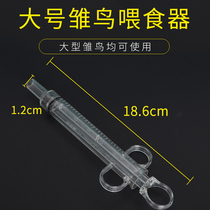 Young Bird Feeders Young Dove Little Parrot Chicks Chicks Milk Dove Little Bird Needle Tube Feeder 8 Gwren Brother Feeds Young Bird God