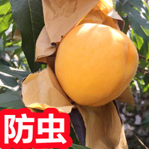 Peach Special Bag Water Honey Peach Bag Peach Bagging Peach proof protective bag Peach Set Fruits