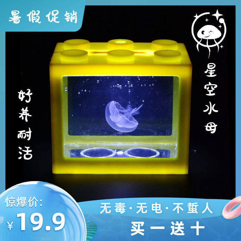 Red moon upside down sea moon jellyfish living creature experience tank small desktop dormitory good to raise aquatic pets to watch live jellyfish