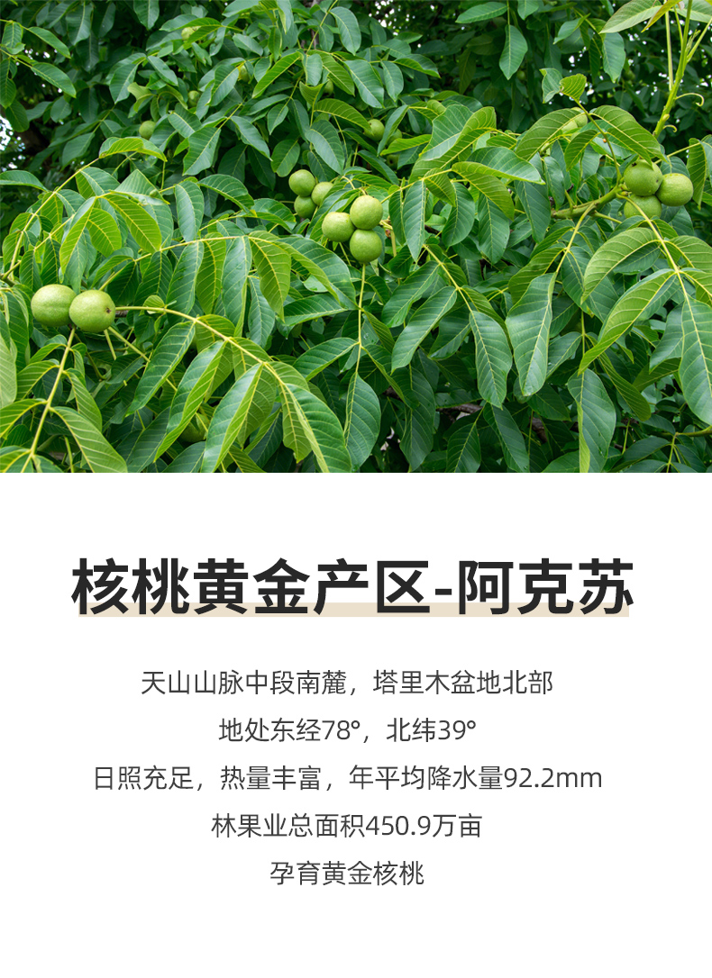 岭峥 20年新货 新疆阿克苏原味 薄皮核桃 1斤 图2