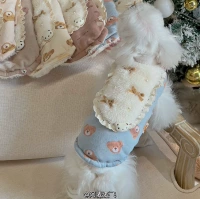 Blu -ray Retro Bear Fe5