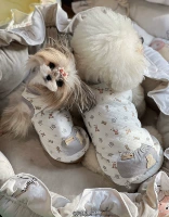 Маленькие гризли