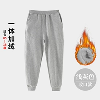 [Закрытие денег] Светло-серый бархат