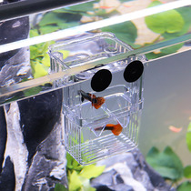 Fish officer betta isolation box guppy hatching box ornamental fish betta tank office breeding pet box SF