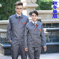 Осенний и зимний сингл -слоя серого