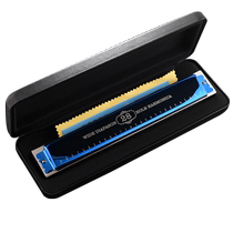 Gongs importés dAllemagne harmonica accentué à 28 trous pour hommes seniors niveau de performance professionnel instrument polyphonique féminin à 24 trous