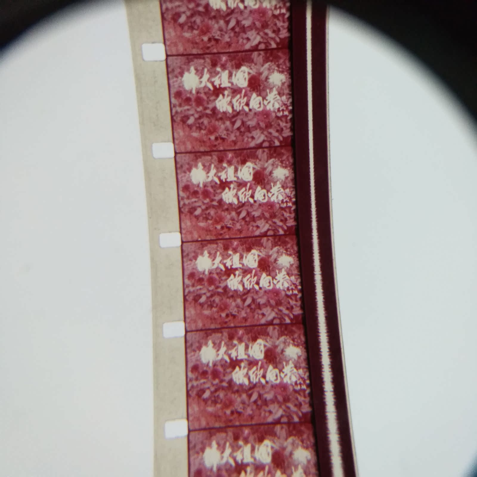 16mm film backsheet film print film projector color documentary Great Motherland thriving