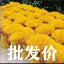 Gold Wheat Ears Living Room Swing Piece Natural Great Wheat Ears Golden Dry Flowers Nordic Home Opening Ceremony Decoration Dry Flower Arrangement