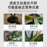 Tiger Pi LAN Выделенные медленные удобрения компонента с соединением мебели.