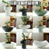 Мош мяч цветочный горшок, бамбуковая пор вода, подобная керамическому креативному фиолетовому песку китайский дзен дзен, оформление офиса бонсай