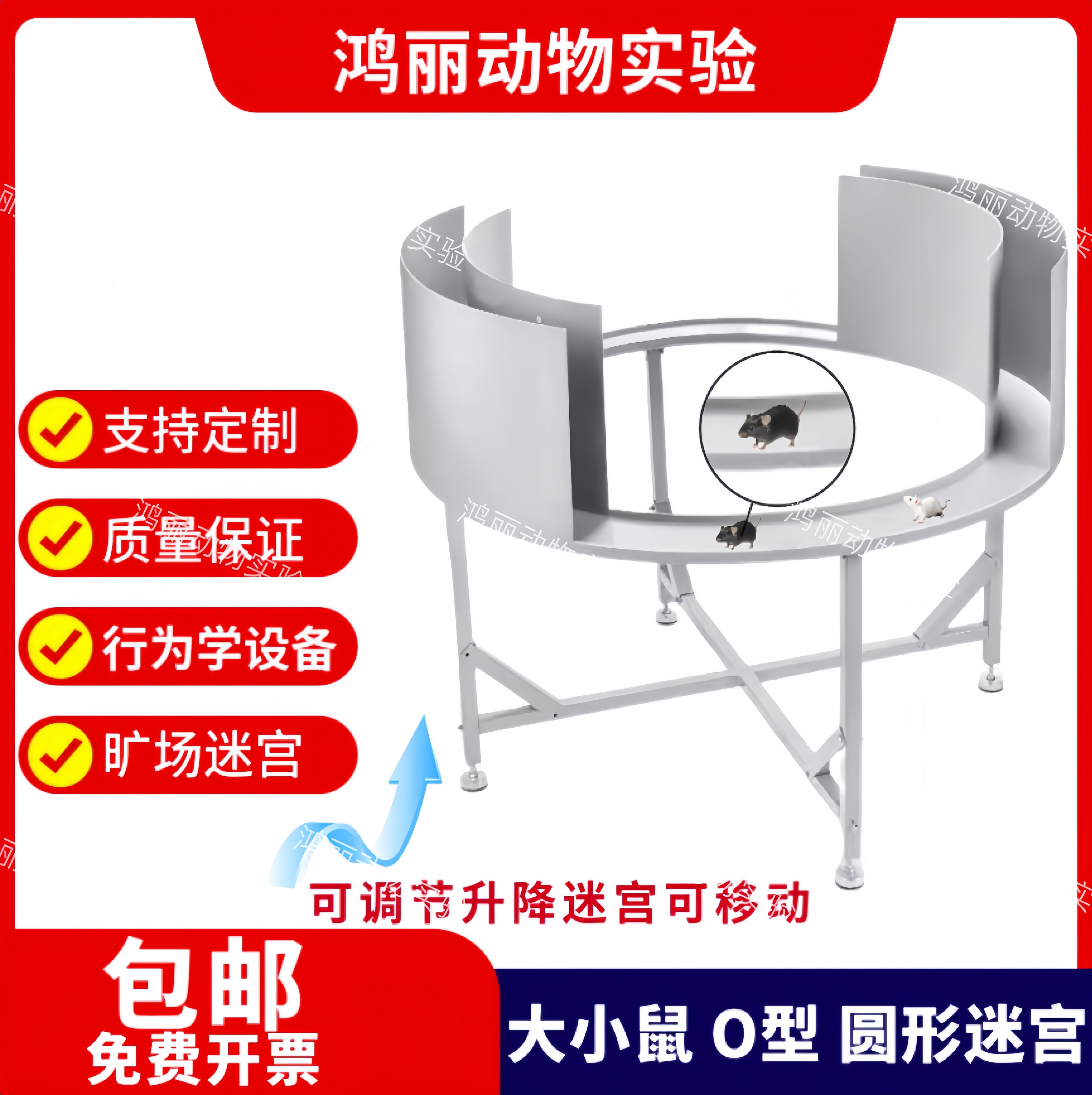 实验动物旷场迷宫 大小鼠O型迷宫圆形高架迷宫一字迷宫行为学设备