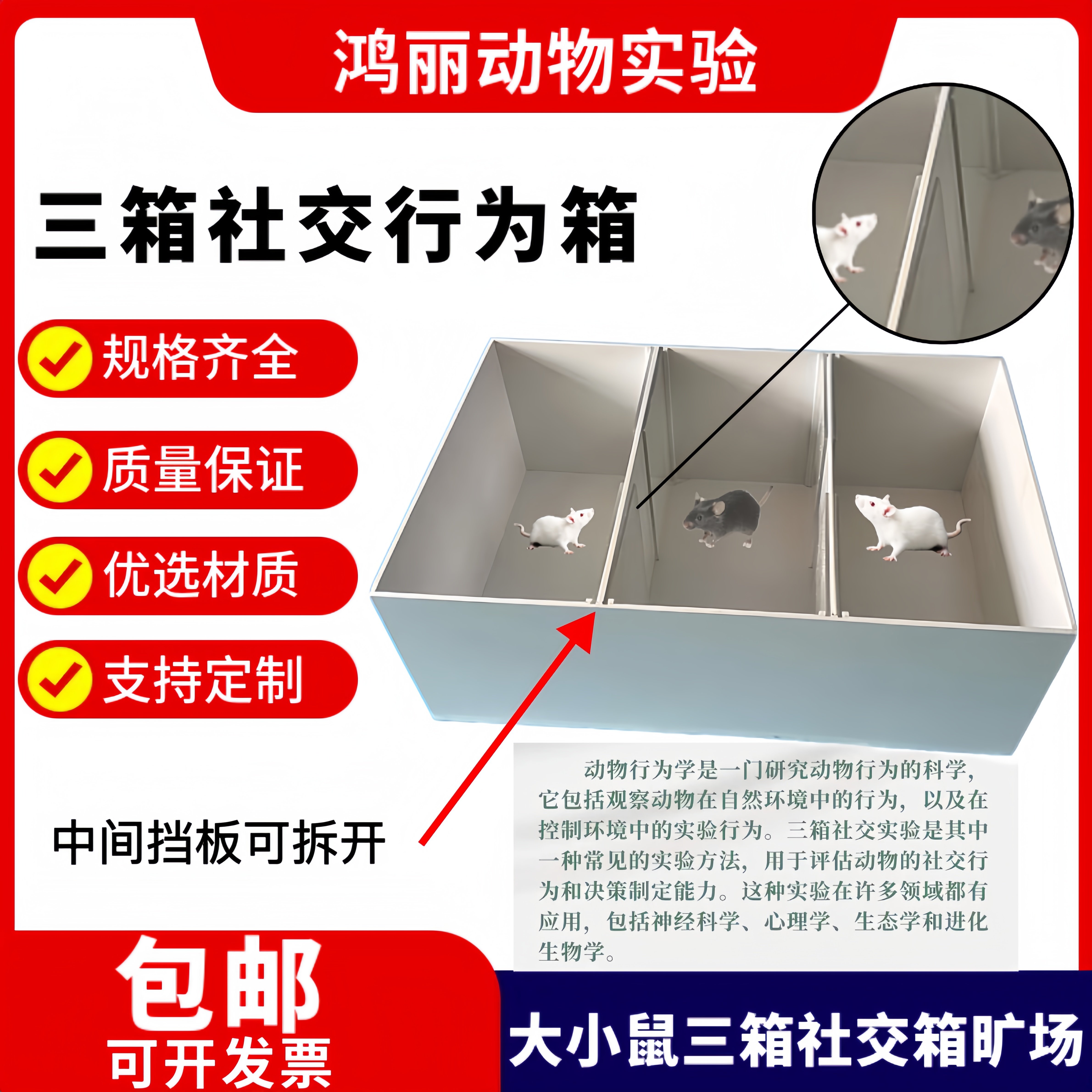 三箱社交行为学箱 小鼠三箱实验社交设备大鼠三箱旷场实验迷宫箱