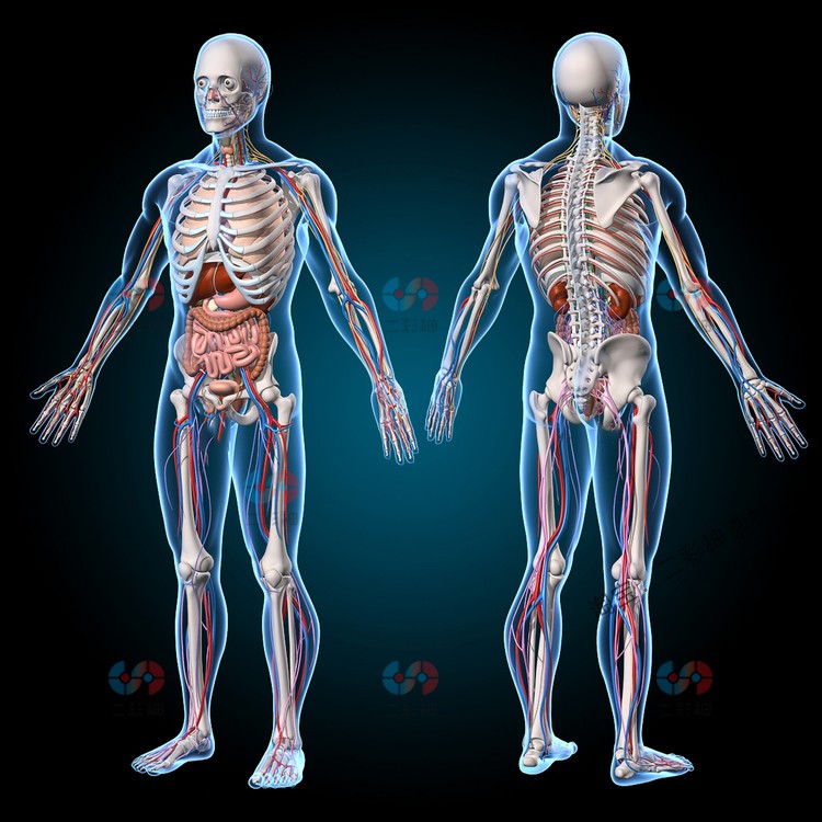 人体模型 GH23批发幽灵模特为衣服拍照男摄影模特旋转底座隐形幽灵模特| Alibaba.com