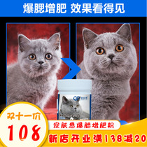 Taiwanese kitty blush pummels puppeted puppets imbued with hair powder Hair Powder Development British Short Increase Fat Gaffe Gaffe Cat Popcorn Flour