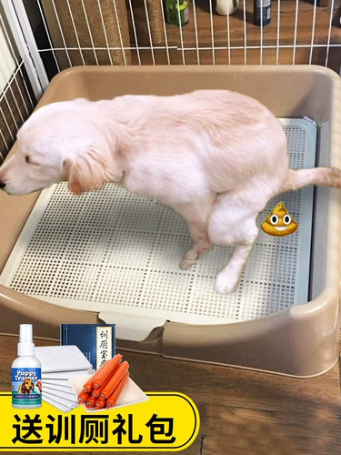 Собачья туалет большой большой собака Автоматическое домашнее собака бассейн мочи анти -нагрузки на дерьмовую воду