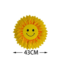 На солнечной энергии, 43см