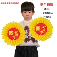 На солнечной энергии, 43см