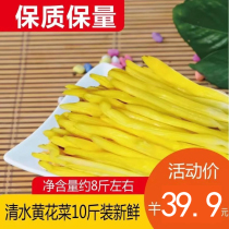 Sulfur-free water yellow cauliflower 10 kg net weight 8 kg Malatang salad raw materials