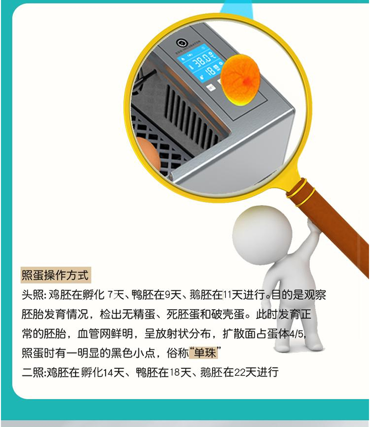 자동부화기