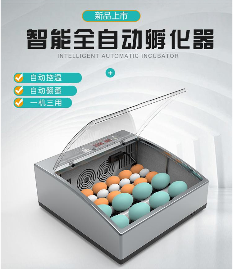 자동부화기