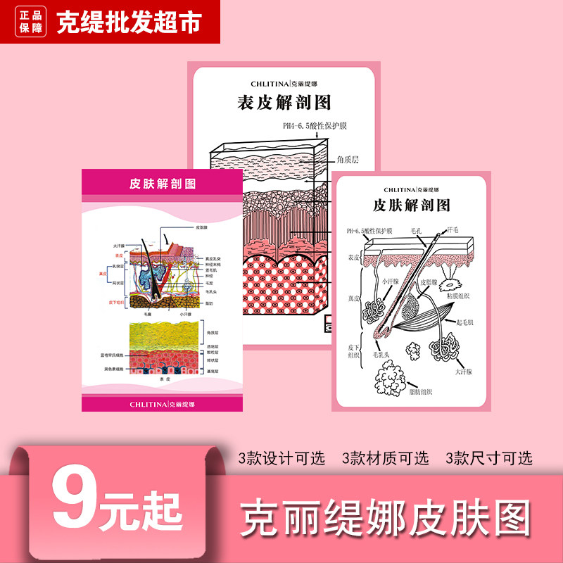Schematic diagram of the hair tissue in the skin structure of CHLITINA's epidermis