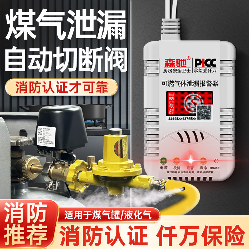 煤气罐泄漏自动切断阀中压防漏气警报器商用家用双嘴无线报警器