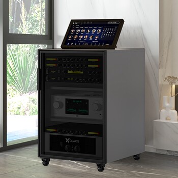 Amplifier Cabinet, Audio Cabinet, Theater Ktv Professional Amplifier Rack, Aviation Equipment Cabinet with U-Strip, Audio-Visual Cabinet