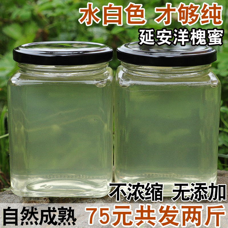 Yan'an acacia flower honey foreign sophora honey pure self-produced sophora flower honey natural wild honey natural wild honey source farmacia honey pure