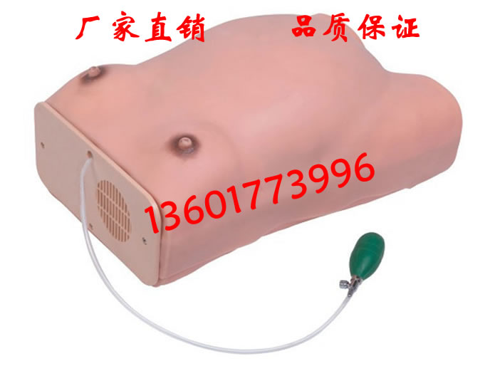 高级孕妇检查模型孕妇腹部触诊模型腹部触诊模型人